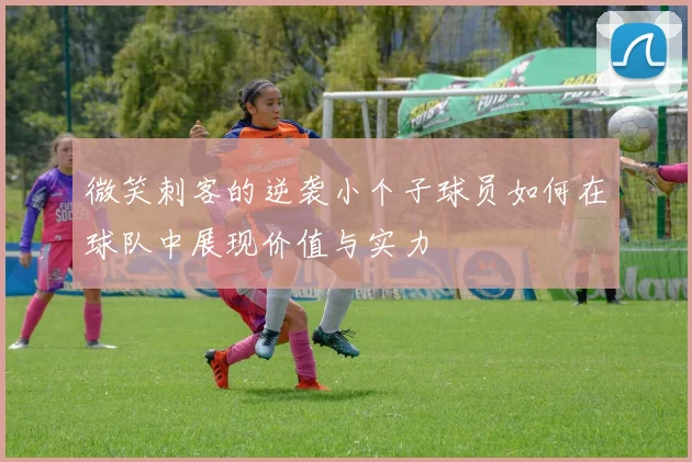 微笑刺客的逆袭小个子球员如何在球队中展现价值与实力